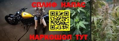 наркотики Гай