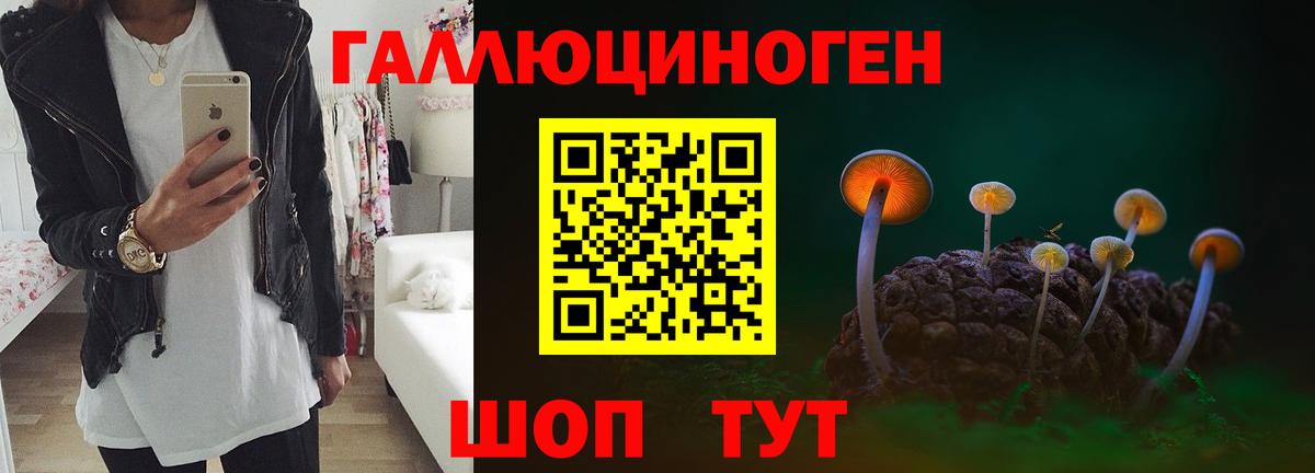 Бугуруслан  Псилоцибиновые грибы прущие грибы  Вход с VPN 